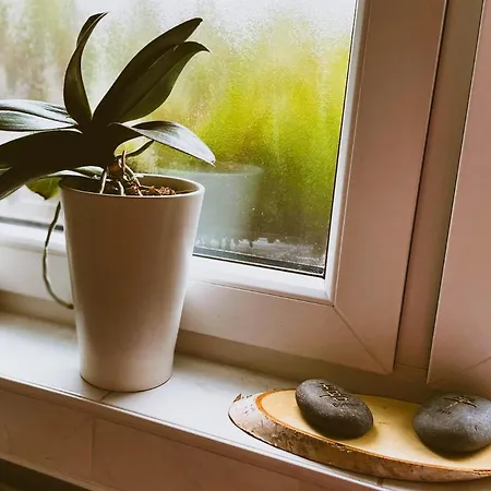 Apartment Modernes Im Gruenen - Stilvoll Und Komfortabel Cologne