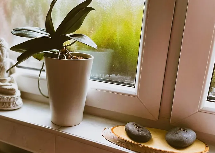 Apartmán Modernes Im Gruenen - Stilvoll Und Komfortabel Kolín nad Rýnem